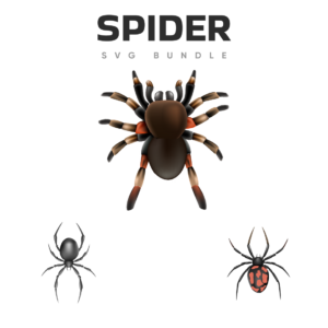 Cute Spider Svg Masterbundles