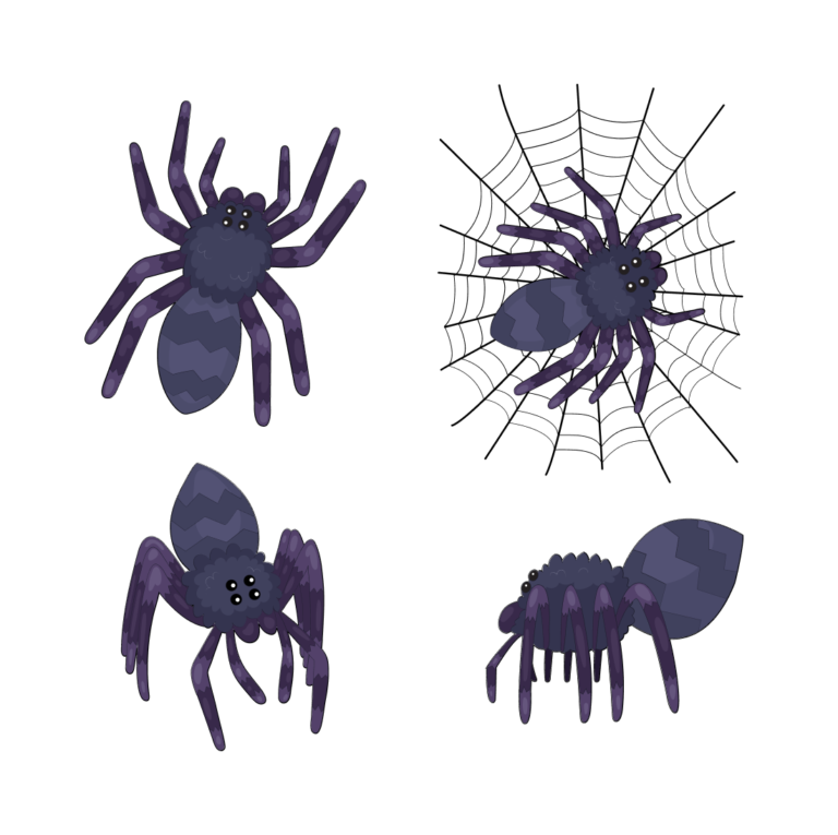 Black Spider Svg Masterbundles