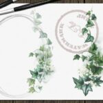 Ivy Watercolor Frames Master Bundles