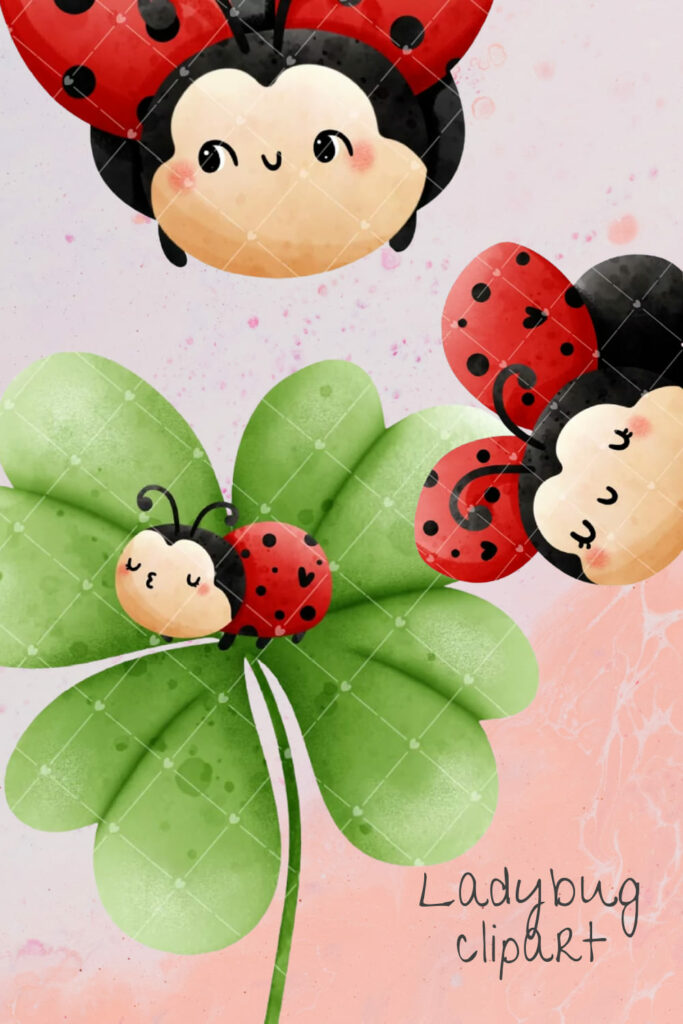 Ladybug Clipart Cute Ladybug Png Masterbundles