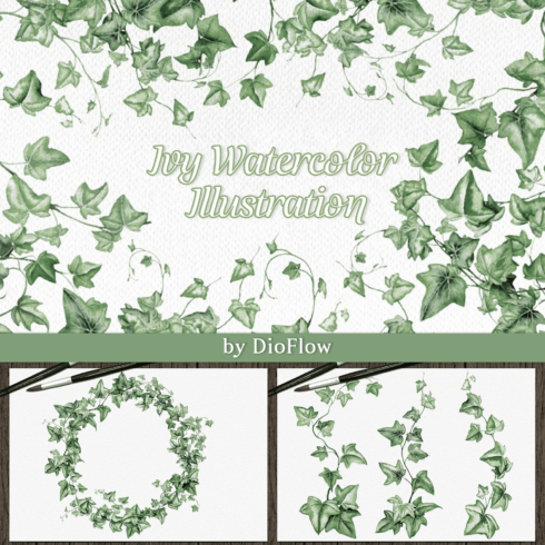 11 Ivy Watercolor Illustrations MasterBundles