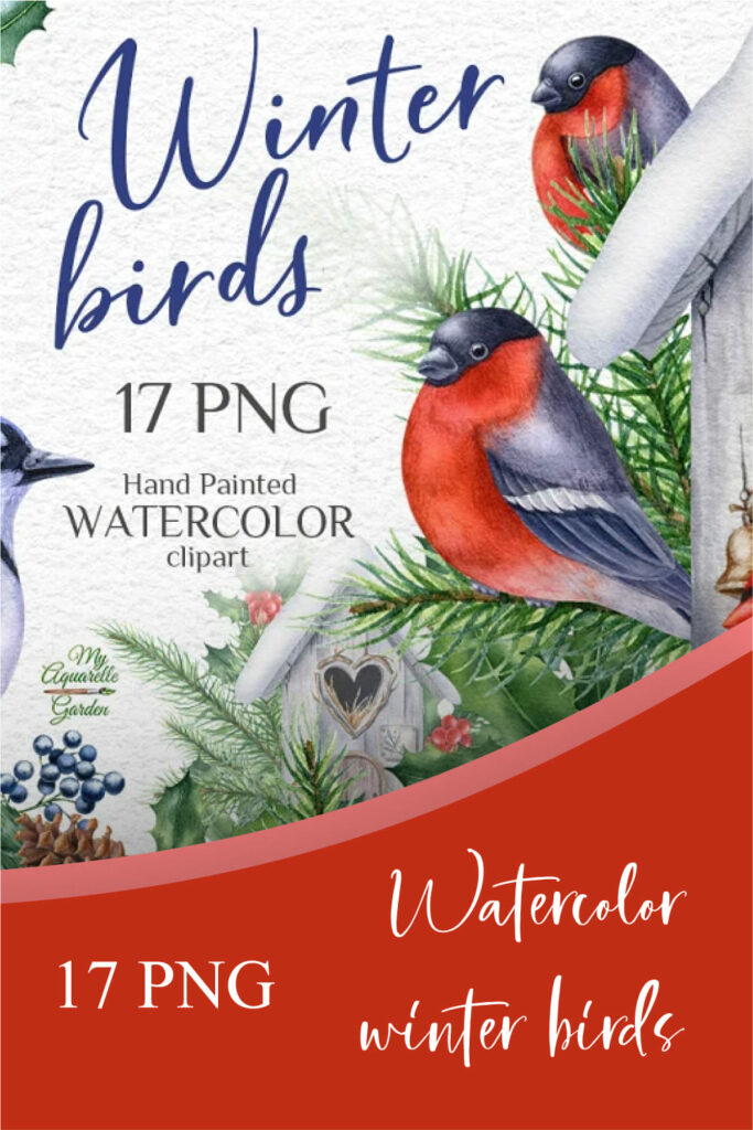 Watercolor Winter Birds MasterBundles