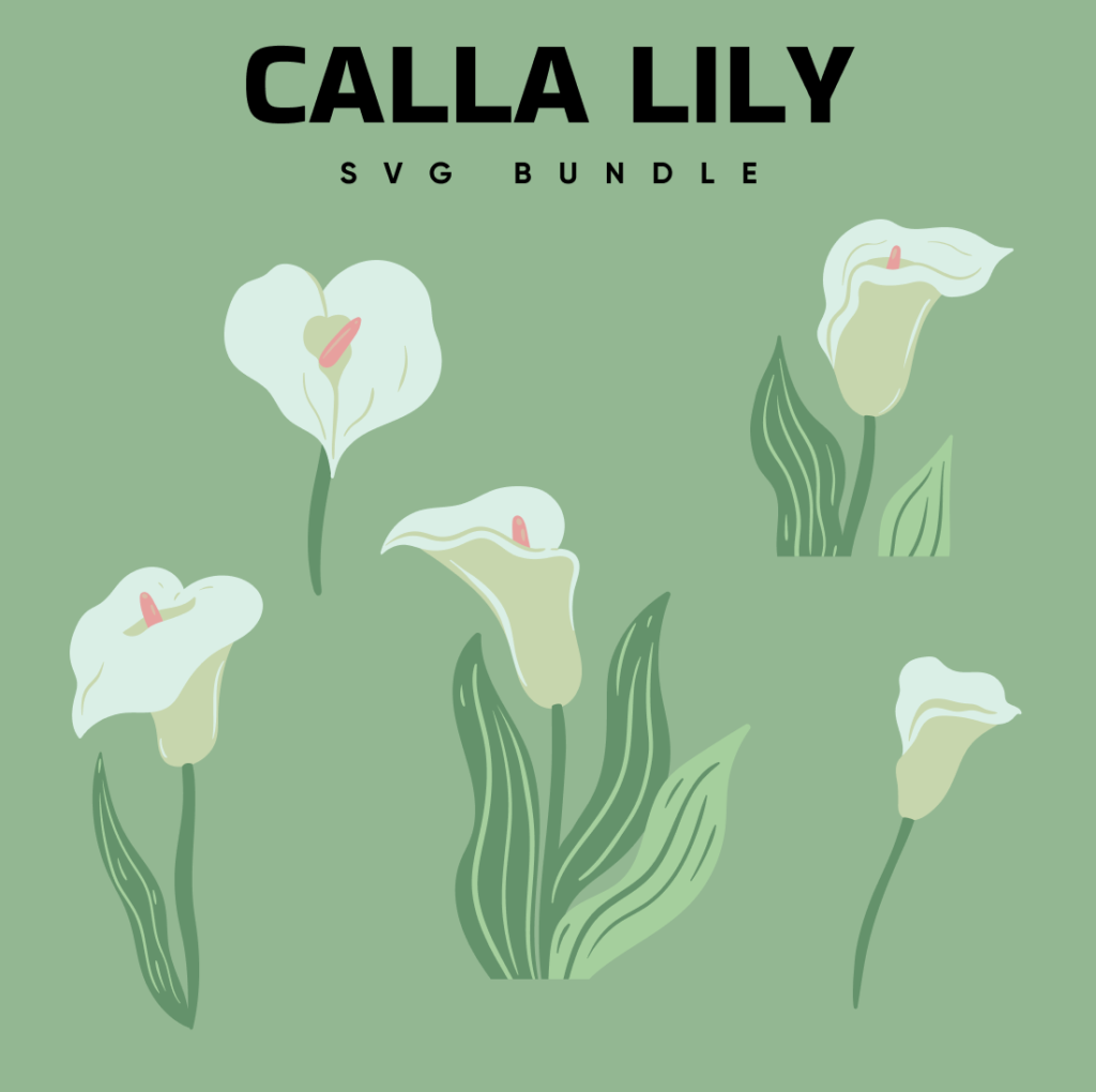 Lily Pad SVG Designs MasterBundles