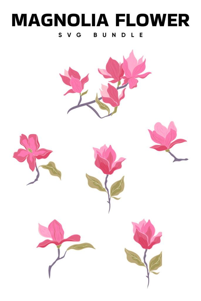 Magnolia Flower SVG MasterBundles