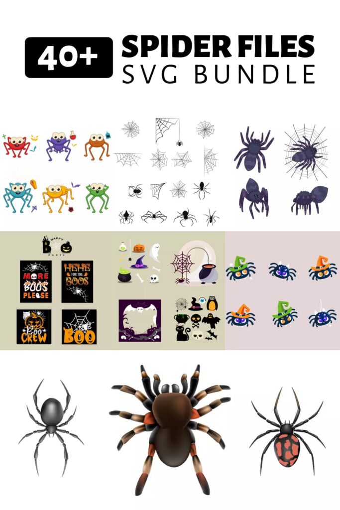 Spider Svg Files Bundle Masterbundles