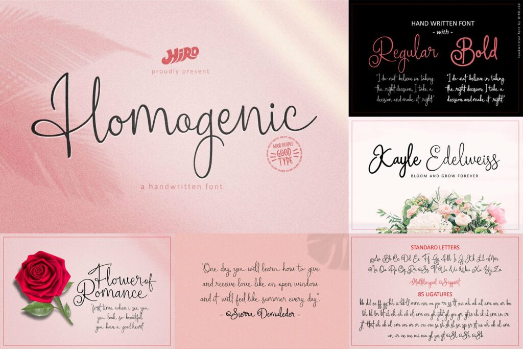 Handwritten Font Bundle Masterbundles