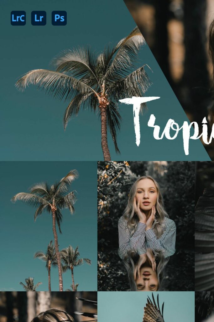 Tropical Lightroom Preset Masterbundles