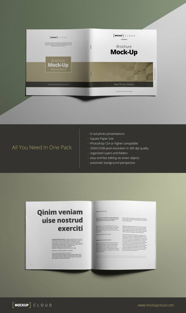 Square Brochure Mock Up Masterbundles