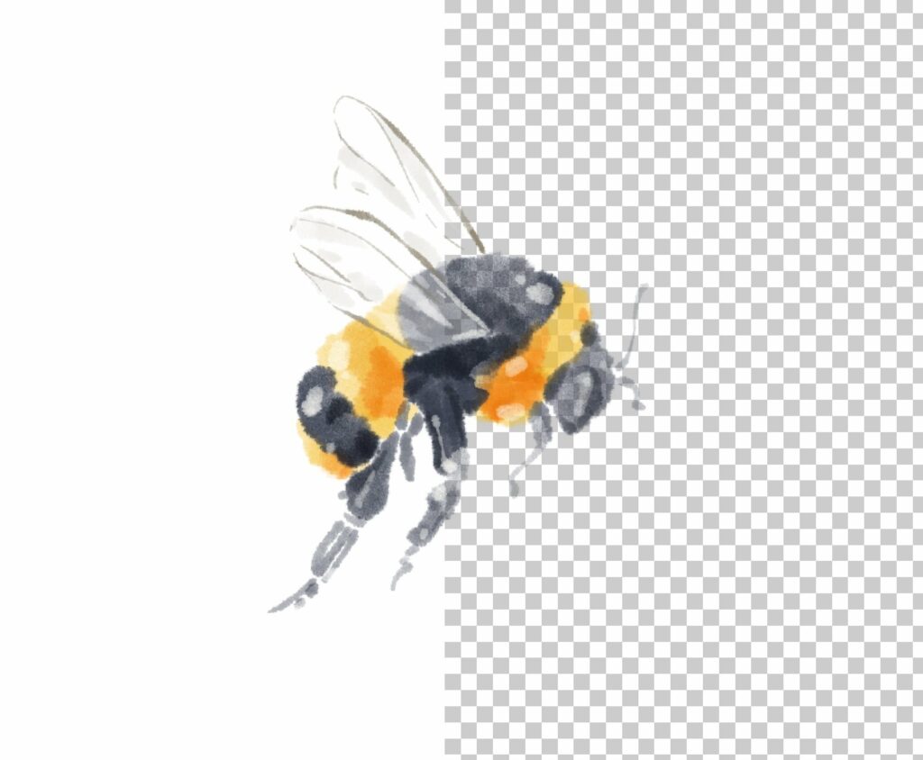 Watercolor Bumble Bee Clipart Masterbundles