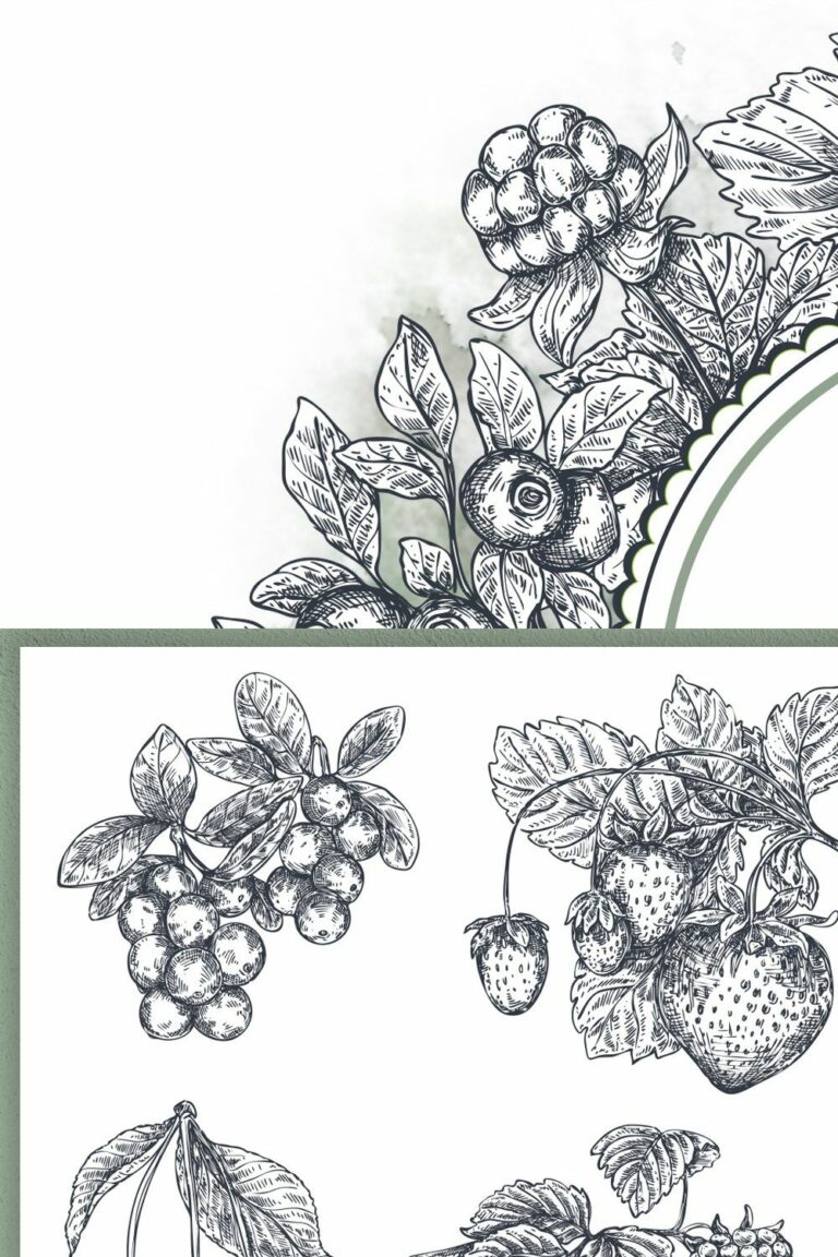 Berries Vector Collection Masterbundles