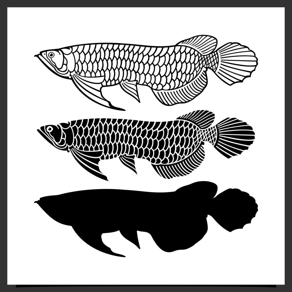 Set Arowana Fish Vector Silhouette Design 4 MasterBundles