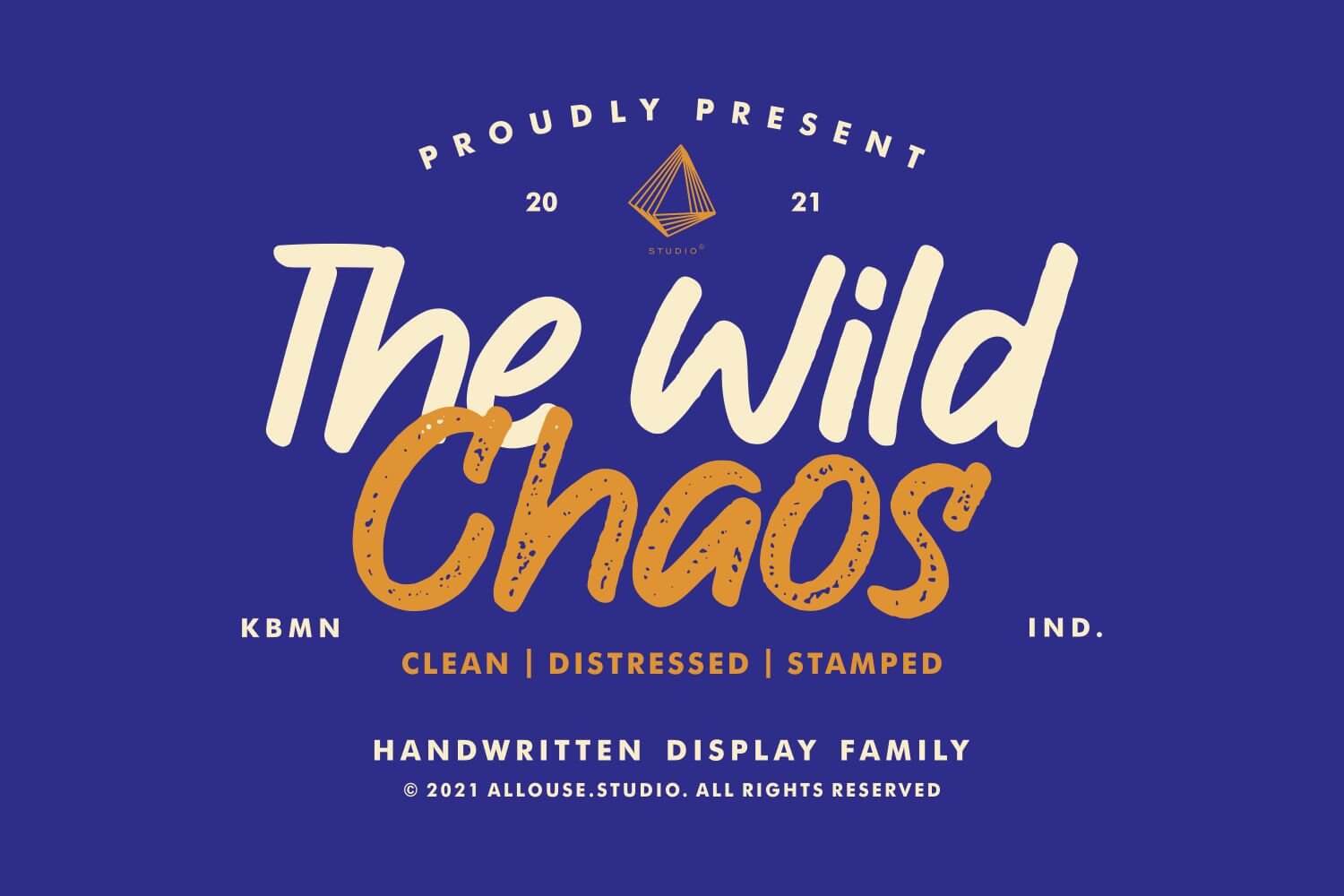 The Wild Chaos Handwritten Display Font Font Masterbundles