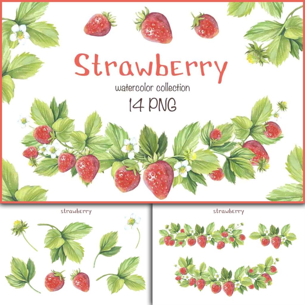 Watercolor Strawberry Collection Masterbundles