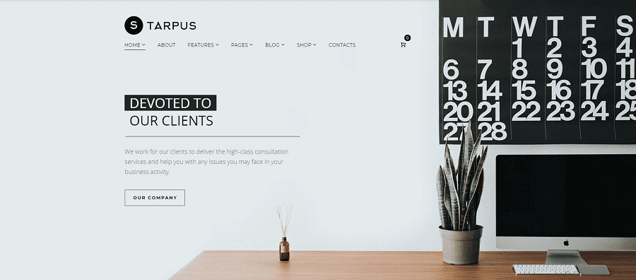 Starpus - Creative Financial Multipurpose WordPress Theme