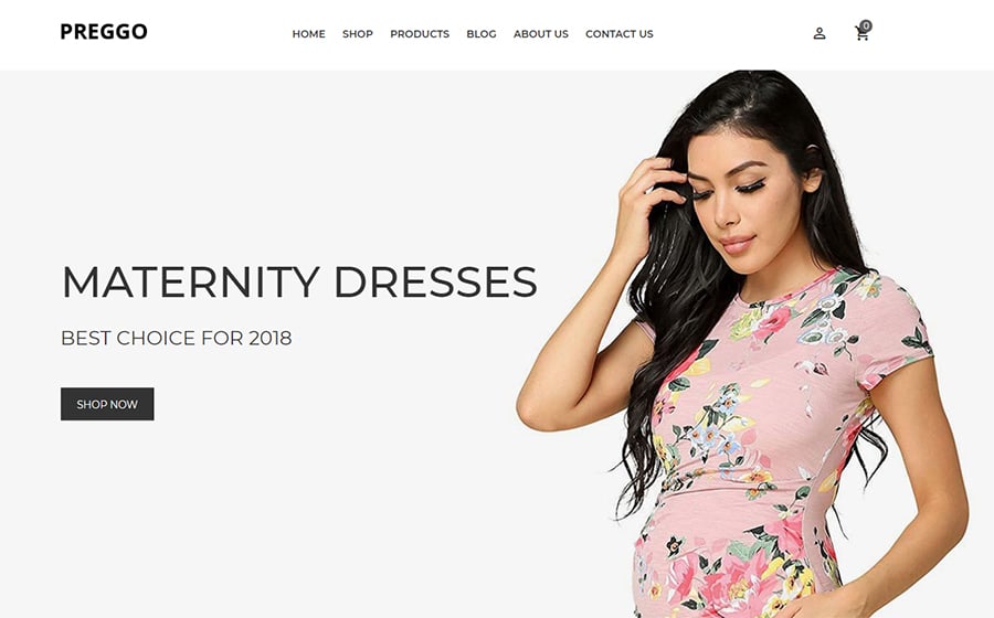 20+ Best Shopify Themes in 2021. Create an e-Store!