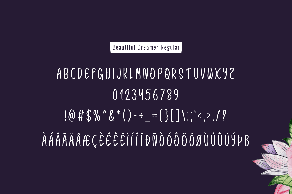 Modern Handwritten Typeface