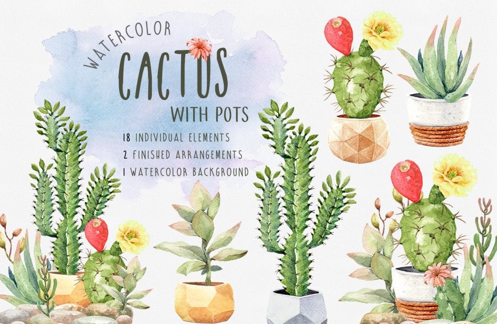 Cacti Watercolor Succulent Clipart width=
