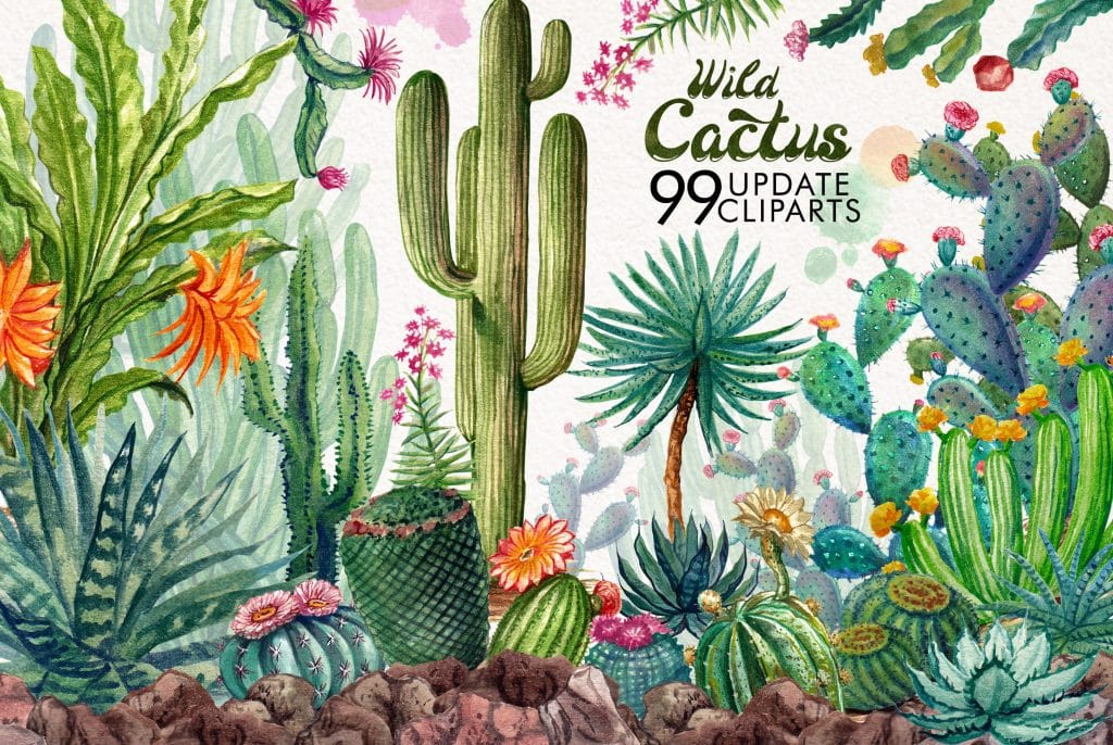 Watercolor Cactuses