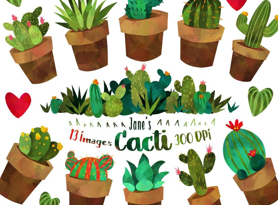 Watercolor Cactus Clipart