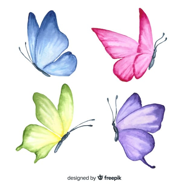 Hand Drawn Butterfly Set Vector