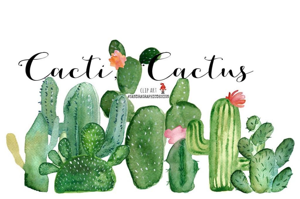 Cacti watercolor, cactus watercolor