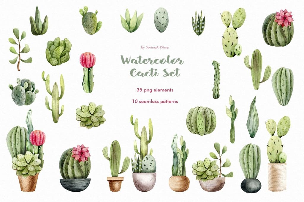 Cactus PNG - Watercolor Cactus, Cactus Flower, Cartoon Cactus, Cactus  Vector, Cute Cactus, Cactus Background, Cactus Border, Cactus Silhouette,  Desert Cactus, Christmas Cactus, Mexican Cactus, Cactus Cute, Cactus  Design, Cactus Plants, Prickly