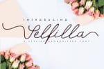 Selfilla Handwritten Font - $12 | MasterBundles