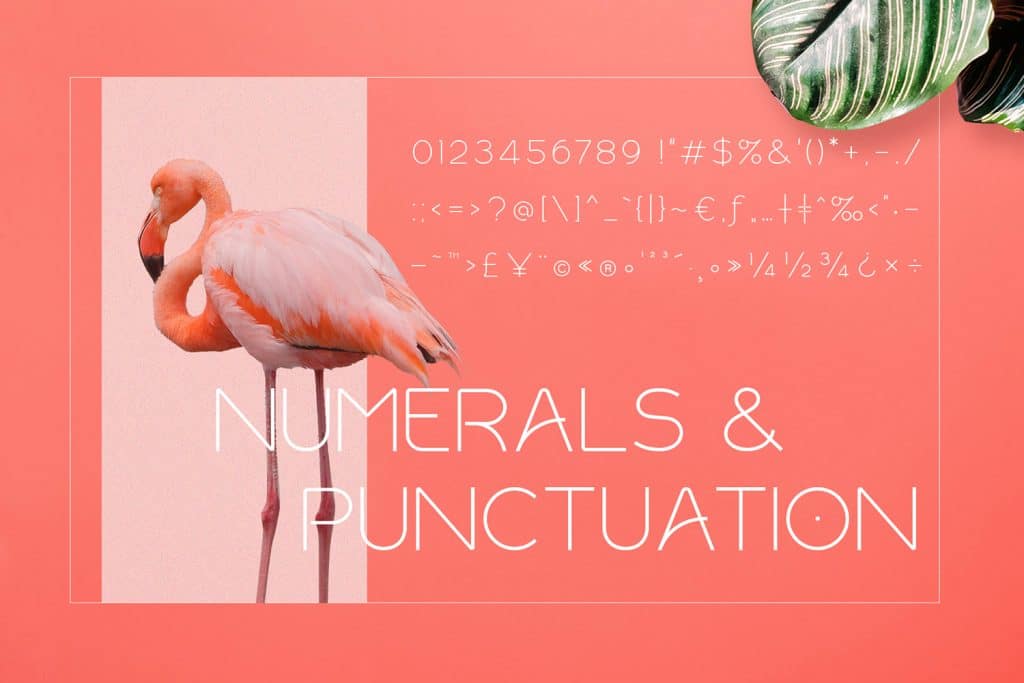 Numerals and punctuation set on a flamingo style background.
