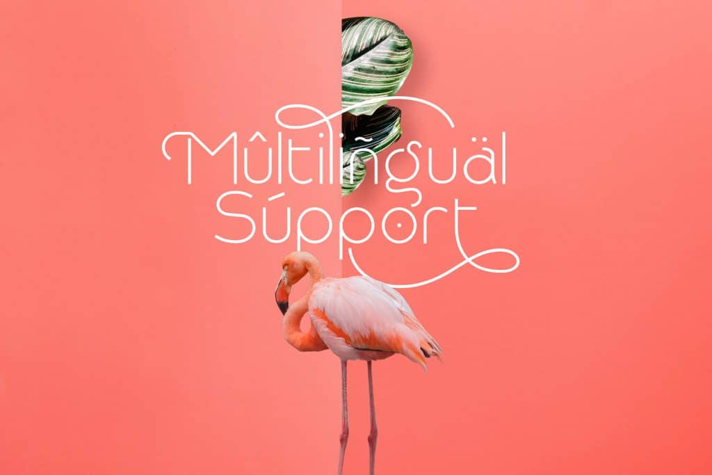 You will have multilingual support.
