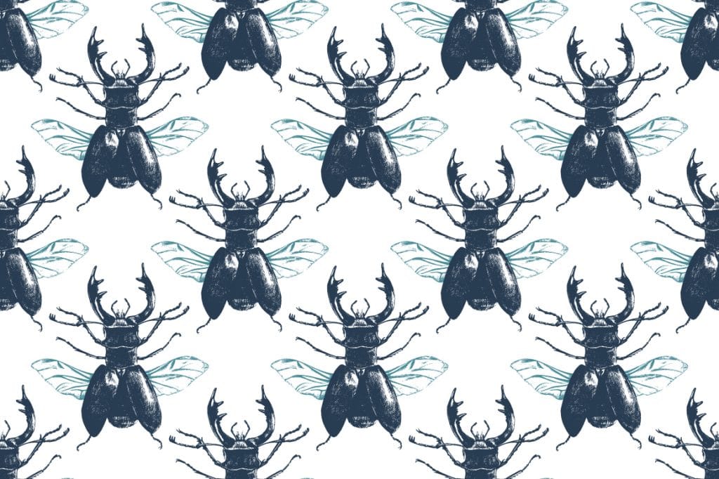 Insects and Seamless Patterns