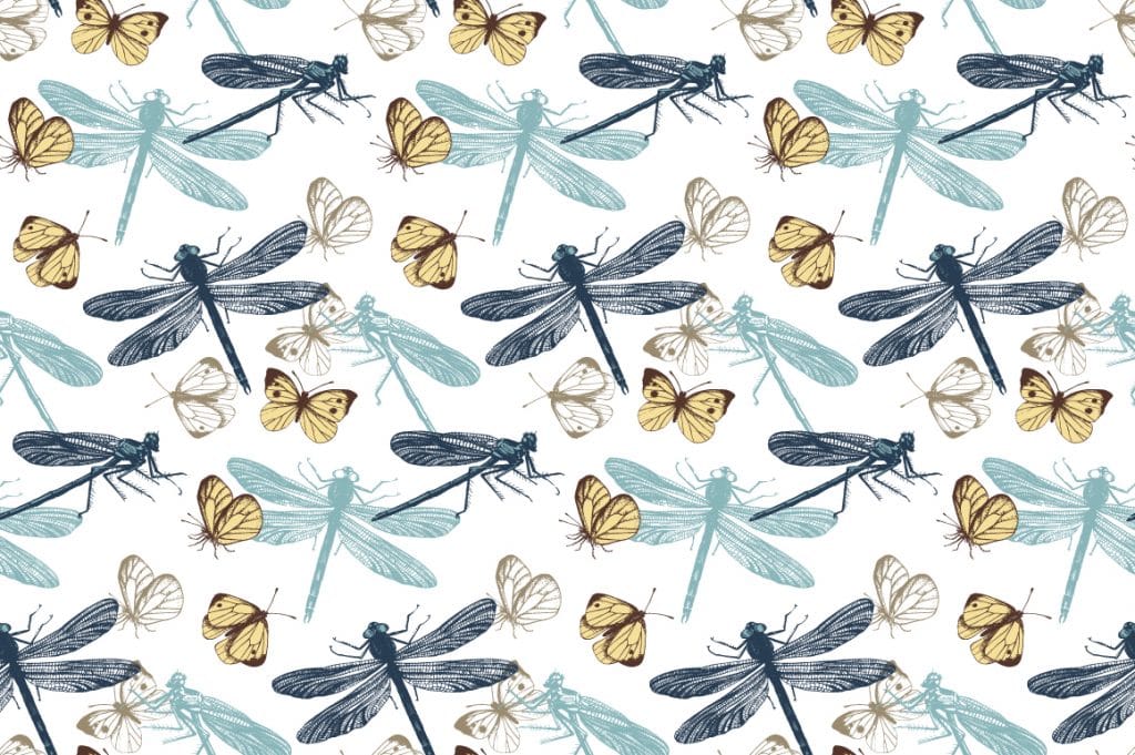 Insects and Seamless Patterns