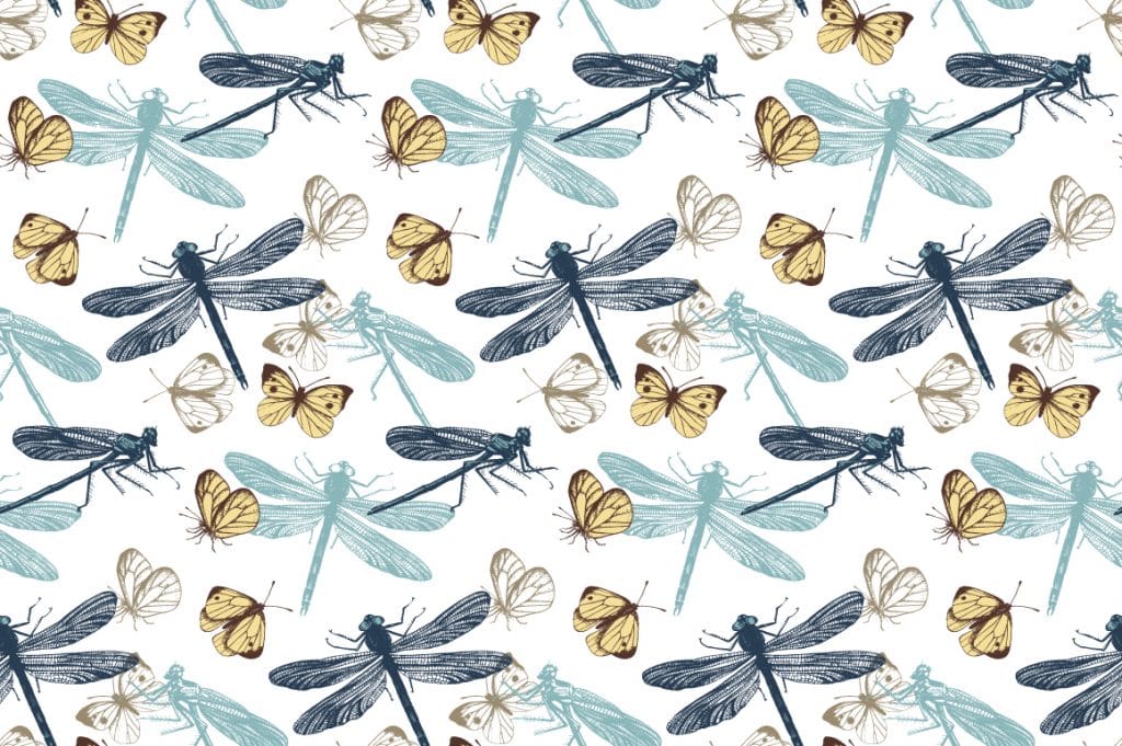 Butterfly Clipart