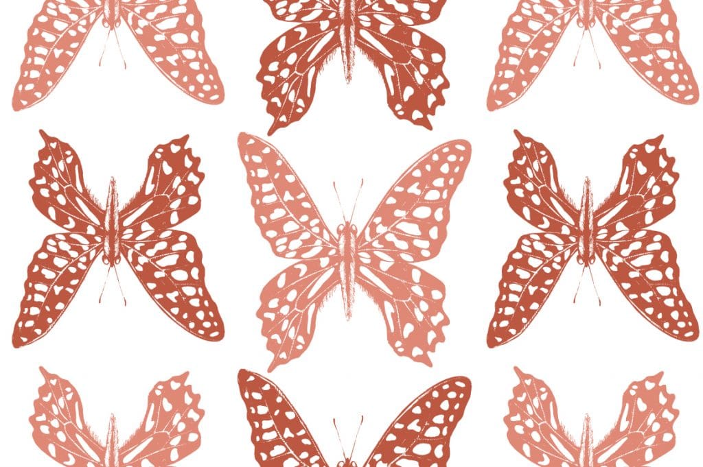 Butterfly Clipart