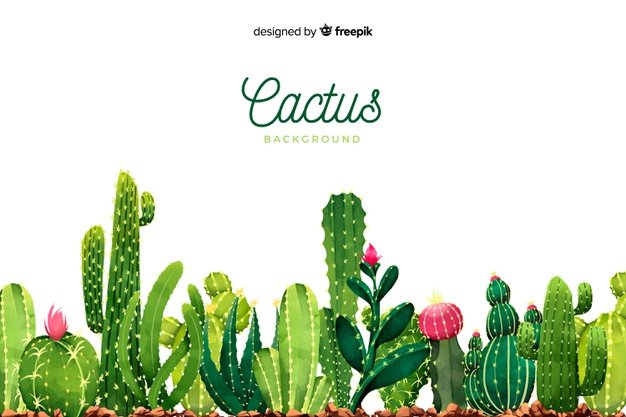 Watercolor Cactus Background. Cactus clipart.