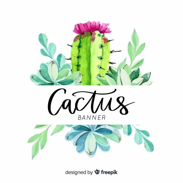 Cactus Banner.