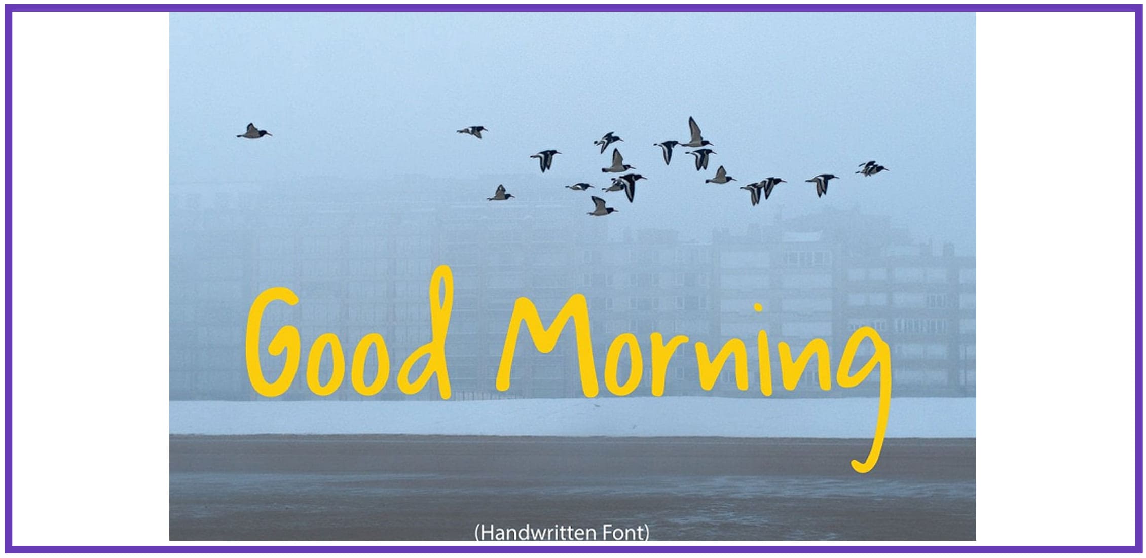 A flock of birds in a foggy sky with a script fun font.