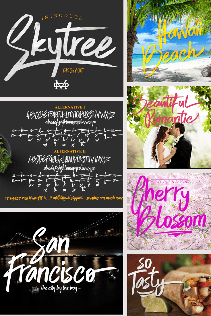 Collage of beach, wedding, city and menu with a script fun font.