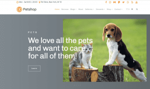 100+ Best Minimal WordPress Themes for Begginers in 2021. Free and ...