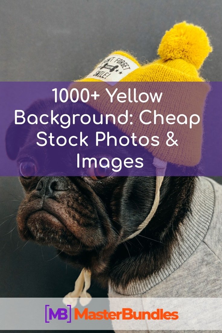 Best Yellow Background. Pinterest Image.