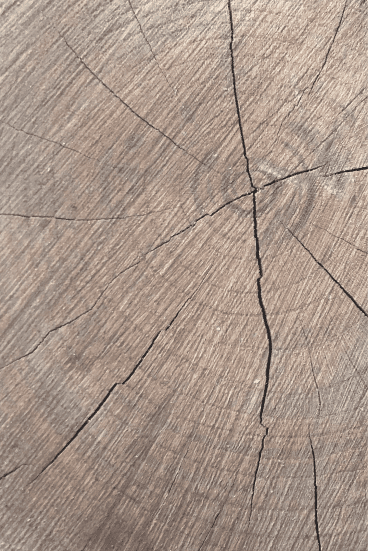 High quality high resolution seamless wood texture. Stock Photo by