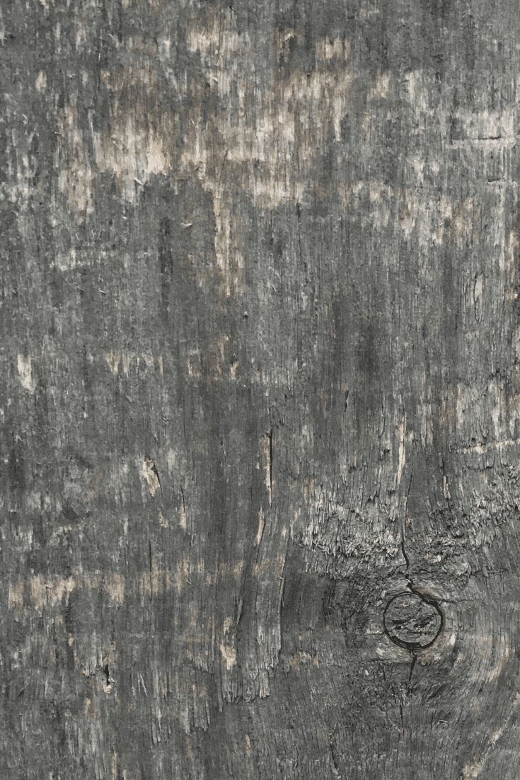 Wood Texture  200+ Wood Background Pictures in 2021: Free and Premium