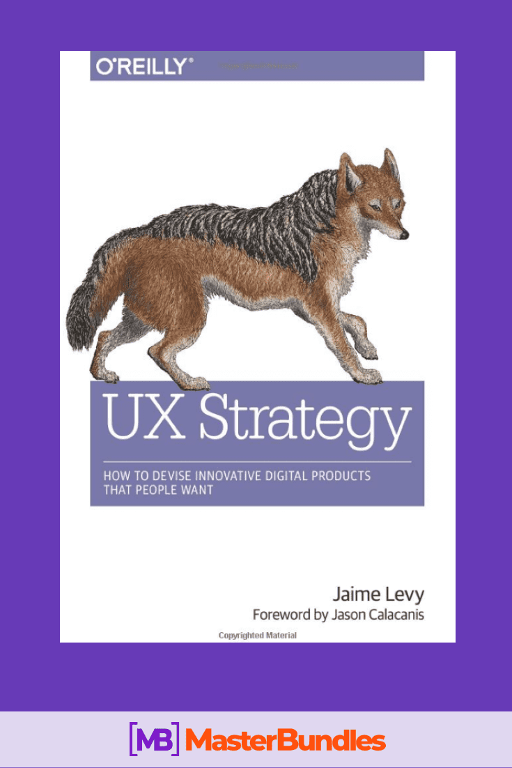 Photo of the book UX Strategy.