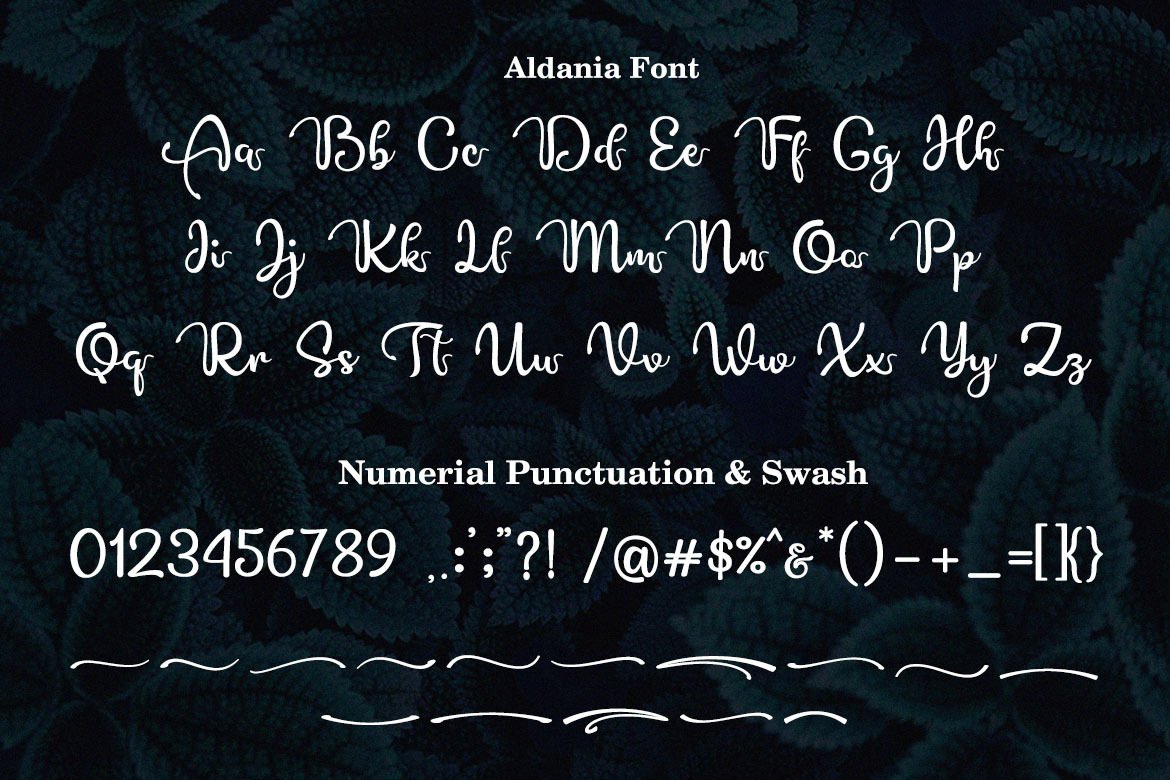 free fonts with glyphs and swashes