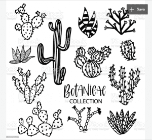 240+ Cactus Clipart 2021: Free and Premium Collections | MasterBundles