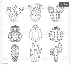 240+ Cactus Clipart 2021: Free and Premium Collections | MasterBundles