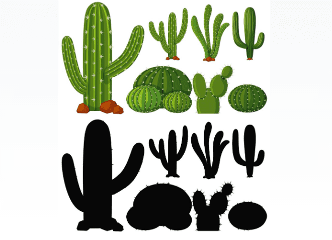 cactus clip art