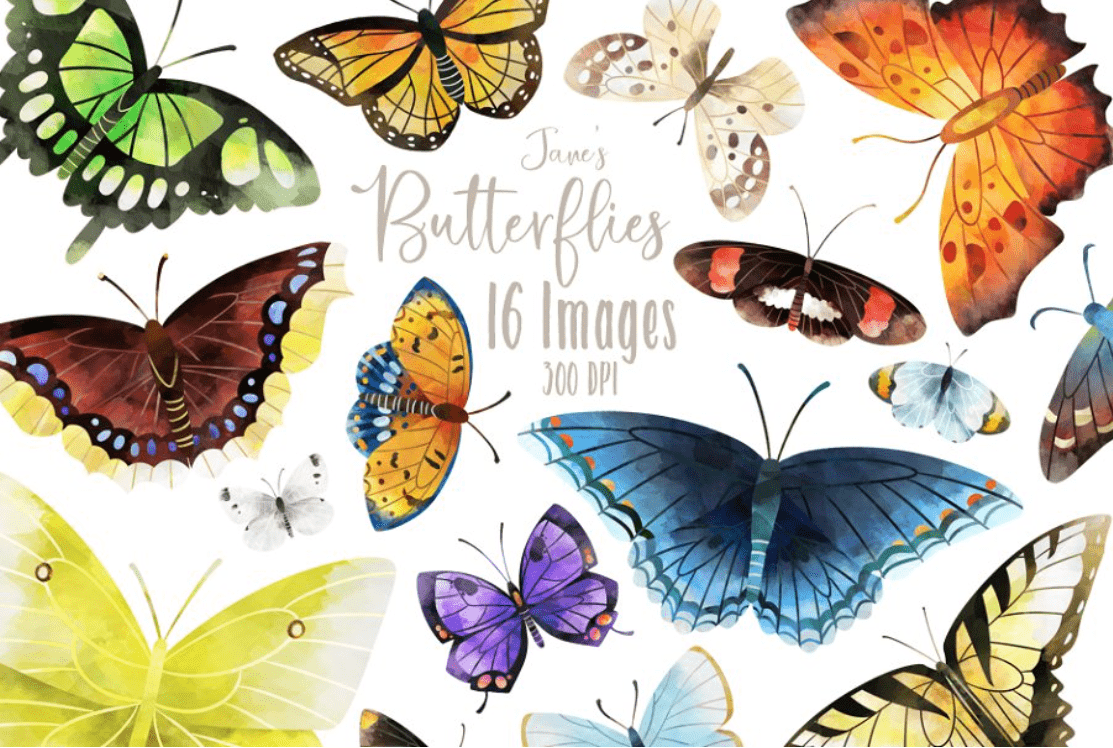 Download Best Butterfly Clipart 2021: What and Where to Search for ...