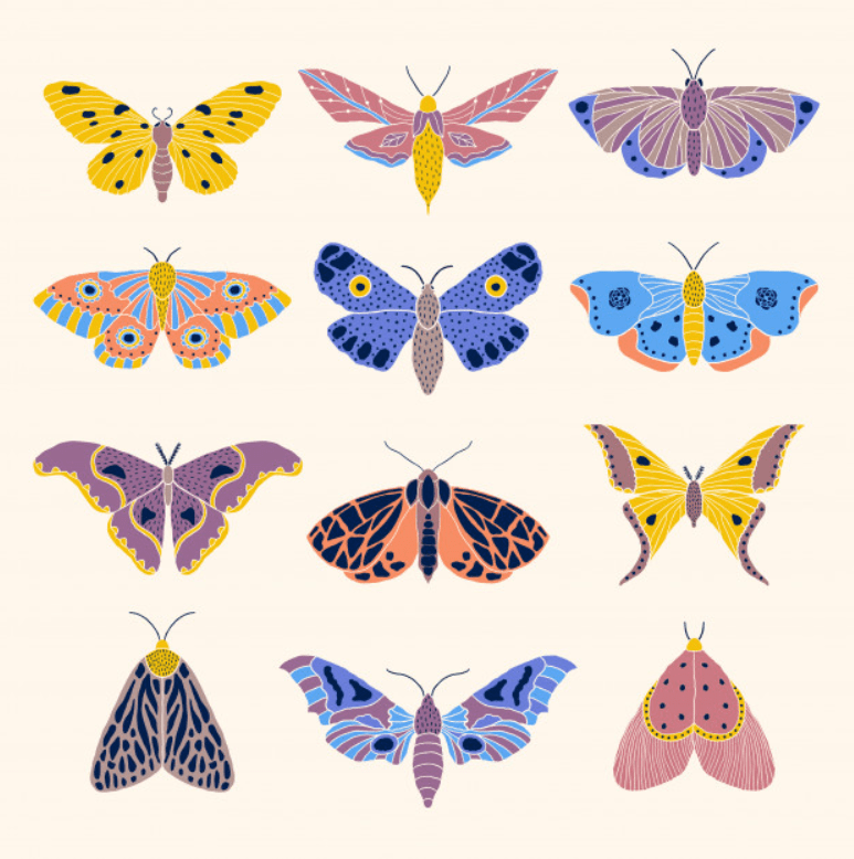 Download Best Butterfly Clipart 2021: What and Where to Search for ...