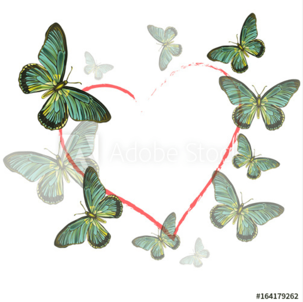 Download Best Butterfly Clipart 2021: What and Where to Search for ...