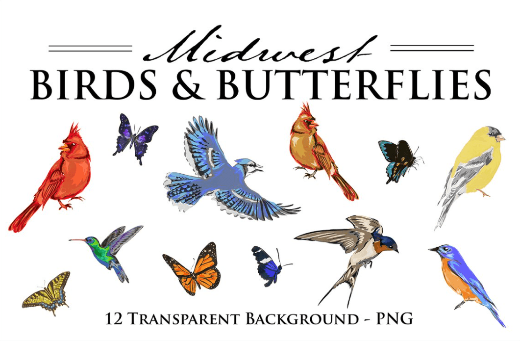 Download Best Butterfly Clipart 2021: What and Where to Search for ...